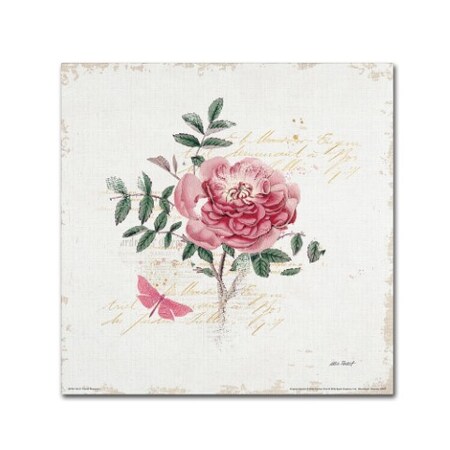 Trademark Fine Art Katie Pertiet 'French Romance I' Canvas Art, 35x35 WAP0281-C3535GG